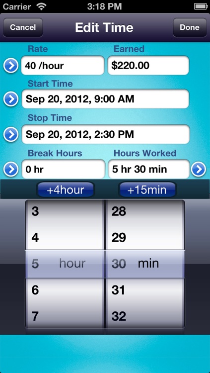 HoursWiz Pro - Personal hours keeper, time tracker & timesheet manager screenshot-3