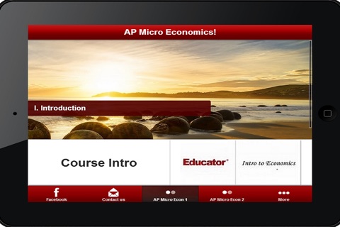 AP Microeconomics Complete Review! screenshot 2
