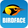 BirdFace