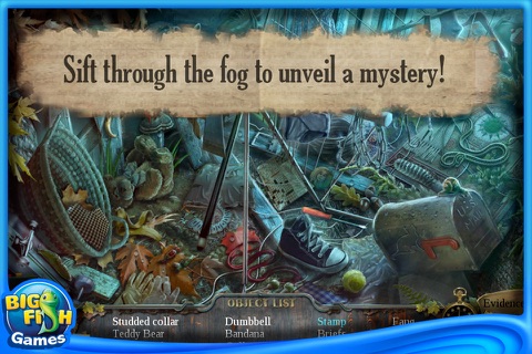 Enigmatis: The Ghosts of Maple Creek Collector's Edition screenshot 2