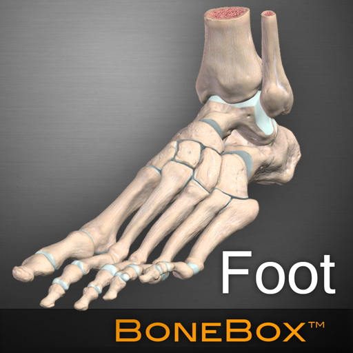 BoneBox-Foot app icon