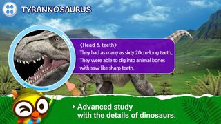 How to cancel & delete Dinosaur Island by ToMoKIds from iphone & ipad 2