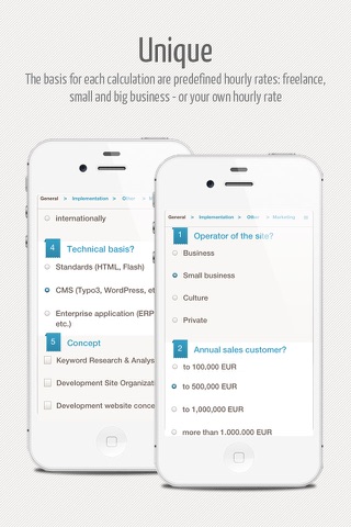 WEB FEE – Web Cost Calculator screenshot 2