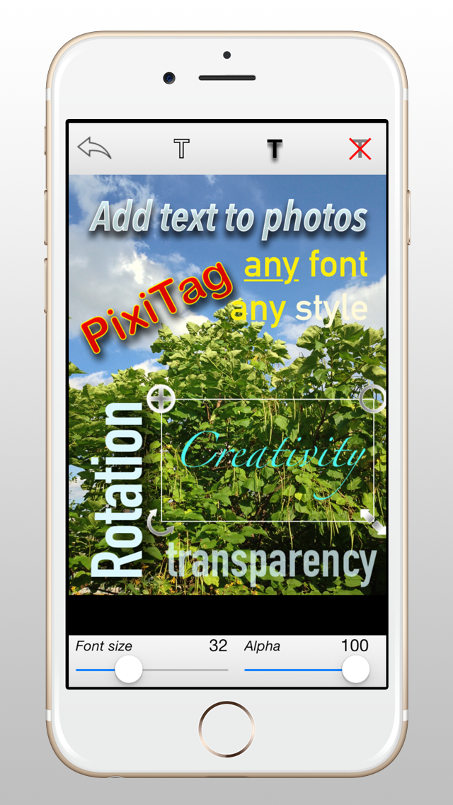 Screenshot #1 pour PixiTag LT: Texte sur Photos