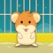Join Hammy the Hamster on his fun jumping adventure to escape the cage