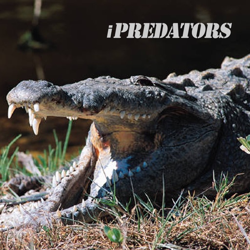 iPredators