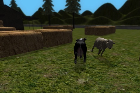 Crazy Cow Simulator FREE screenshot 3