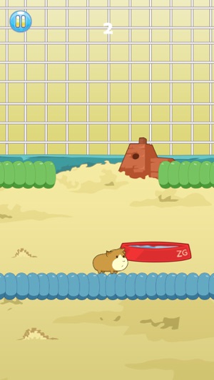 Guinea Pig Escape! - Jump Fall Cage Hero(圖4)-速報App