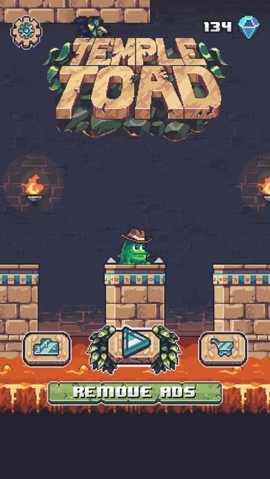 Temple Toad screenshot 1