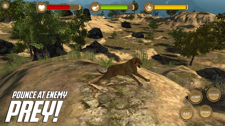 Leopard Simulator HD Animal Life screenshot-3