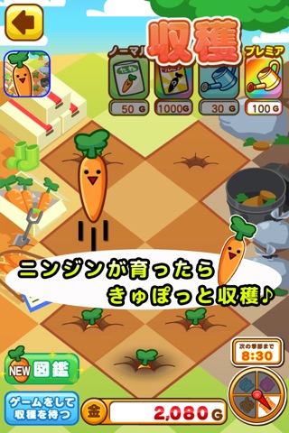 Funny-Shaped carrots screenshot 2