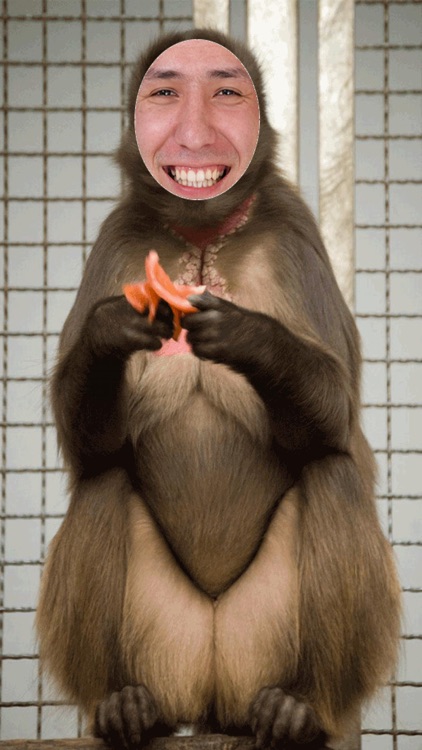 Animal Face Photo Montage screenshot-4