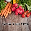 Grow Your Own !