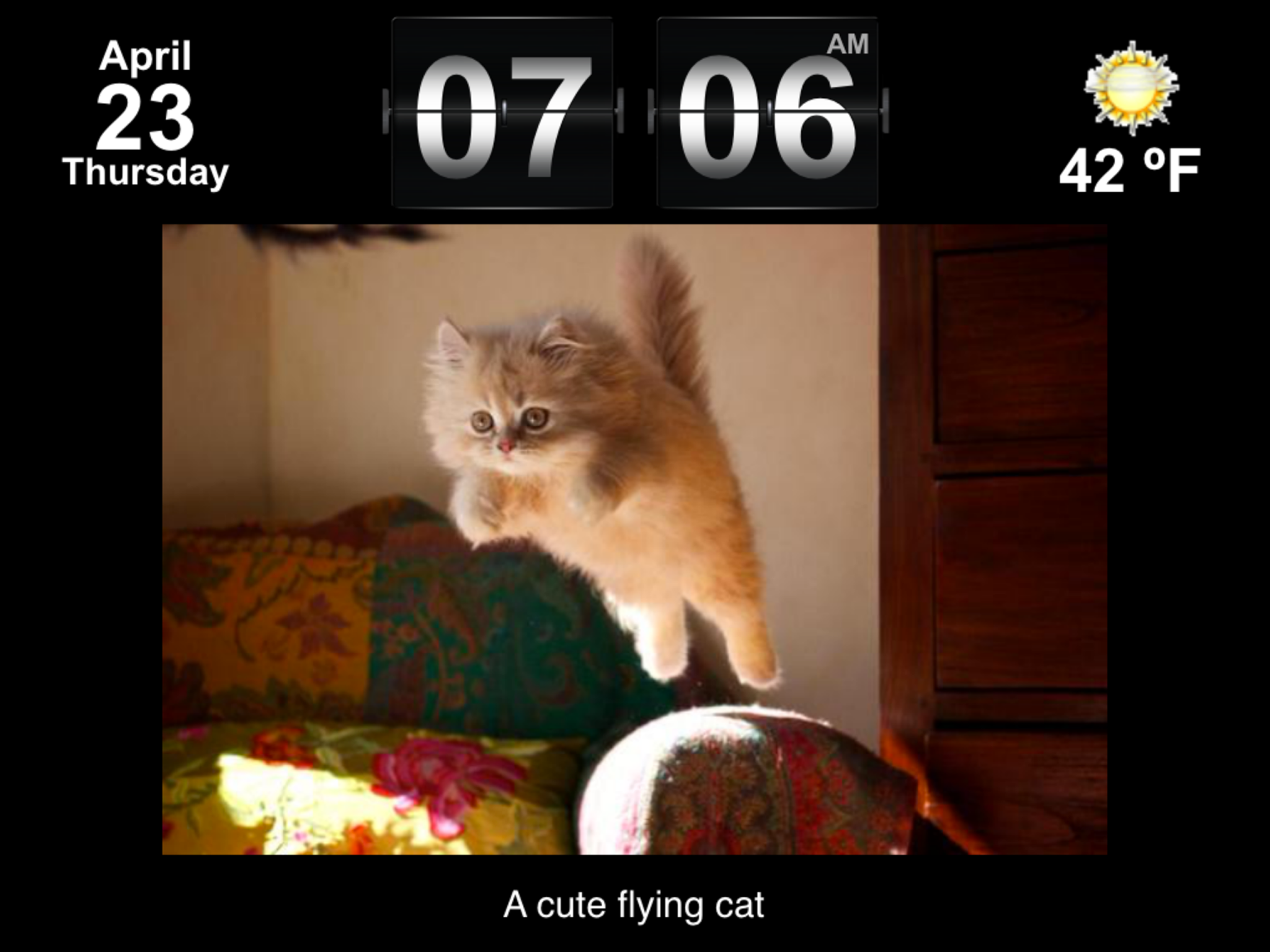 Cute Animal Pics Watch App - Fun pictures for children, young kids, and adults