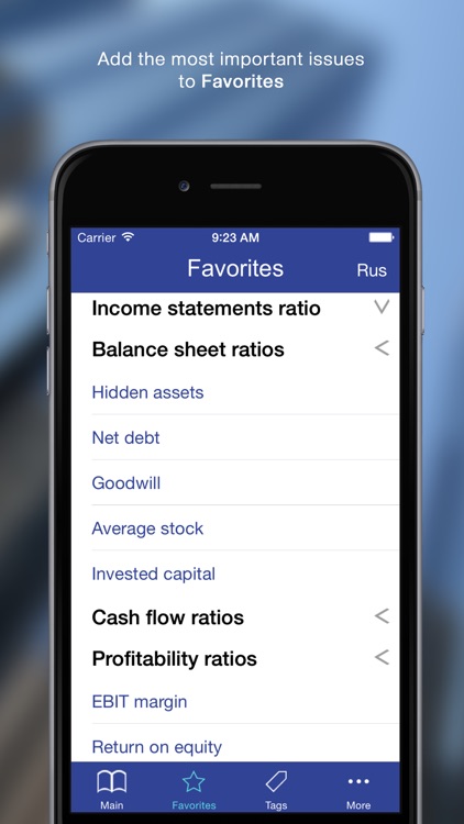 100 Finance Ratios for iPhone