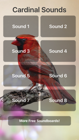 Cardinal Sounds screenshot