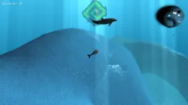 Game screenshot Real Dolphin coral reef simulator apk