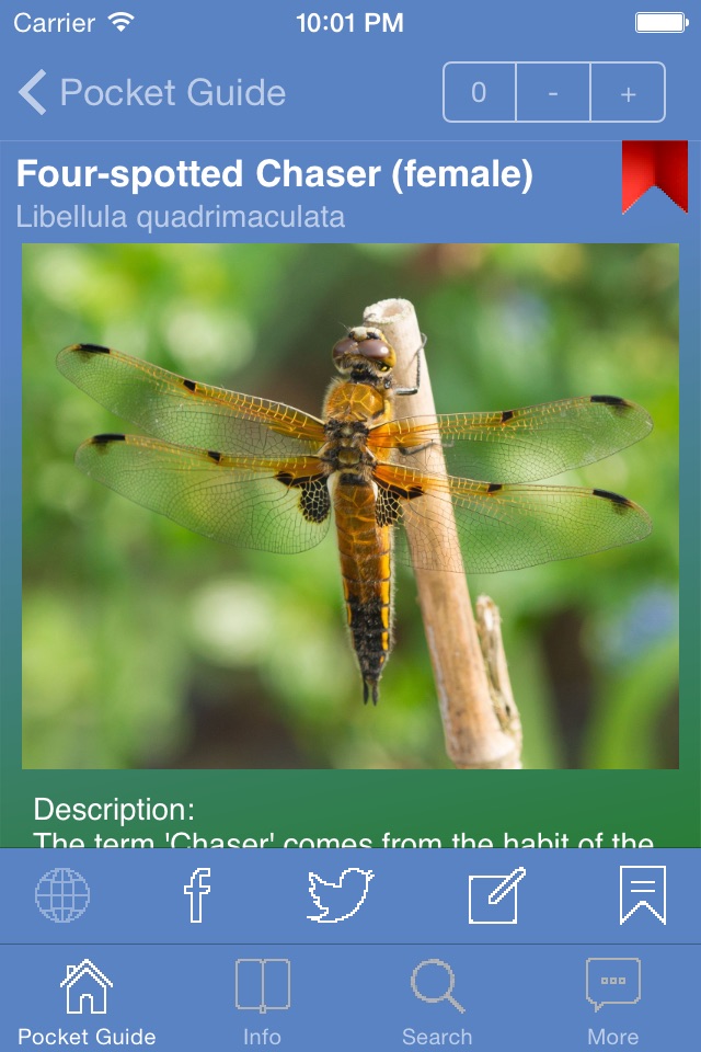 Pocket Guide UK Dragonflies screenshot 2