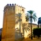 Discover the Alcázar of the city of Córdoba during his visit , with descriptions and pictures of the monument, its rooms , collections , patios and gardens