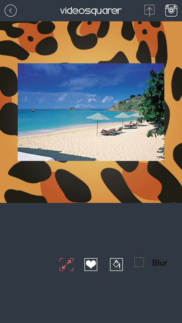 VideoSquarer - Videosquare app for Instagram Full size video