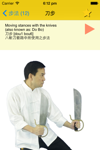 Wing Chun Glossary screenshot 4