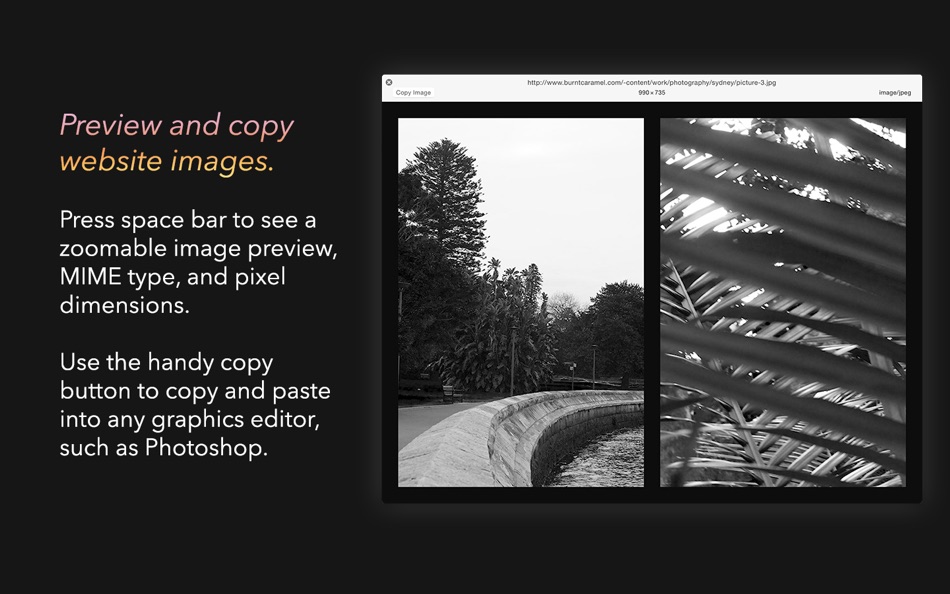 #3. Lantern for website SEO (macOS) 由: Patrick Smith