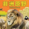 非洲原野 African Safari