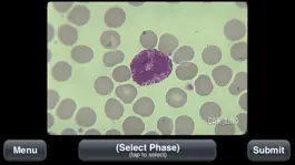 Game screenshot Animal Histology hack