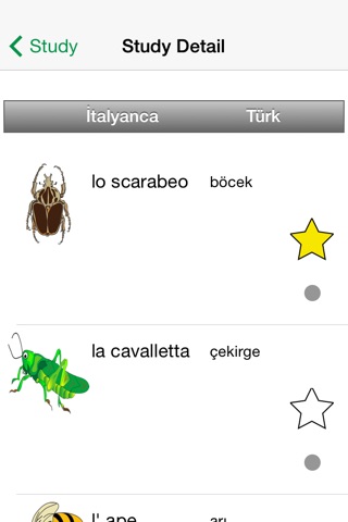 h4 Italian Lite screenshot 4