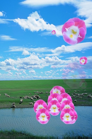 自然播放器儿童版 Nature Music Player for Children screenshot 2