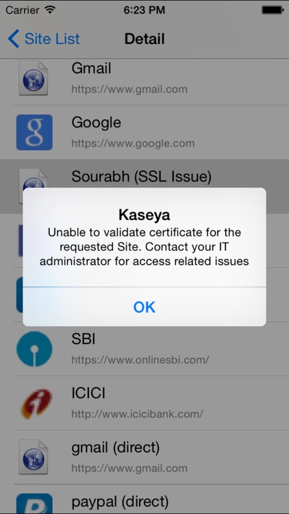 Kaseya WorkBrowser screenshot-3