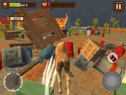Camel Simulator screenshot 9