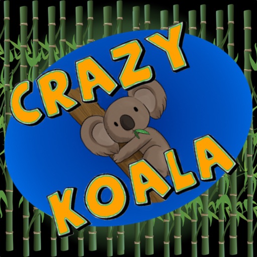 Crazy Koala Icon