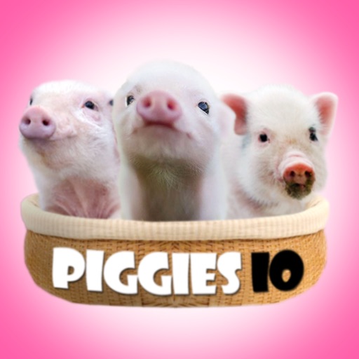 Piggies IO Icon