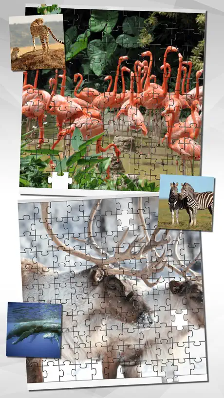 Rompecabezas de Animales HD