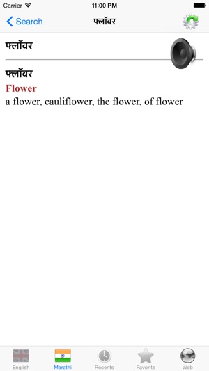 Marathi Dictionary + on the App Store