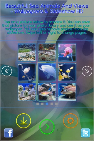 Beautiful Sea Animals and Views - Wallpapers & Slideshow HD screenshot 3