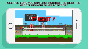 Pocket Wrestling - Physics Based Wrestling screenshot