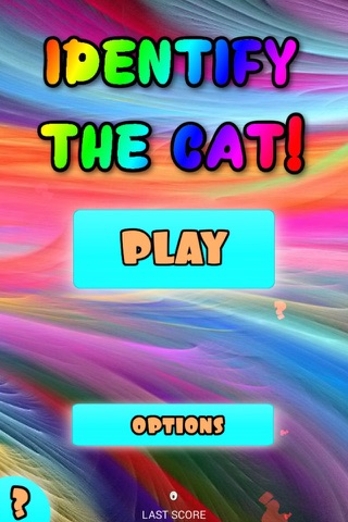 Identify The Cat - Fun Kitten Trivia screenshot 2