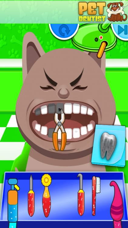 Pet Dentist - Crazy Teeth Office