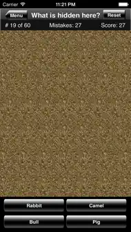 Magic Eye Stereogram Quiz iphone bilder 3
