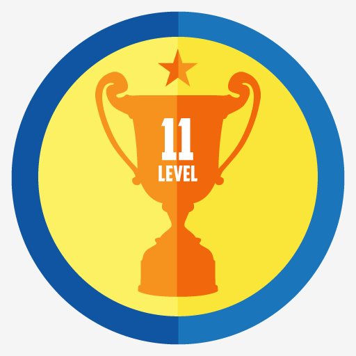 Level 11