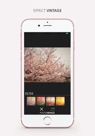photoVintage screenshot 2