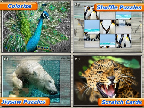 Amazing Wild Animals - Best Animal Picture Puzzle Games for kids iPad screenshot