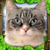 Stray Cat Simulator App Delete