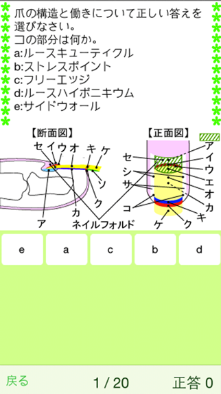 ネイリスト検定3級 screenshot1