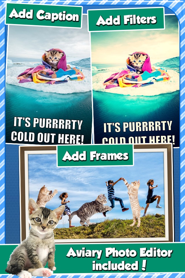 InstaKitty - A Funny Picture Editor with Cute Cats and Kitties Stickers screenshot 3