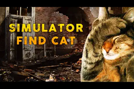 Simulator Find Cat