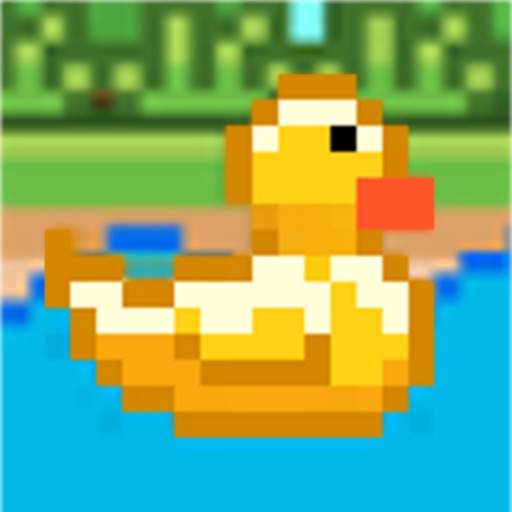 Ducky Punch Icon