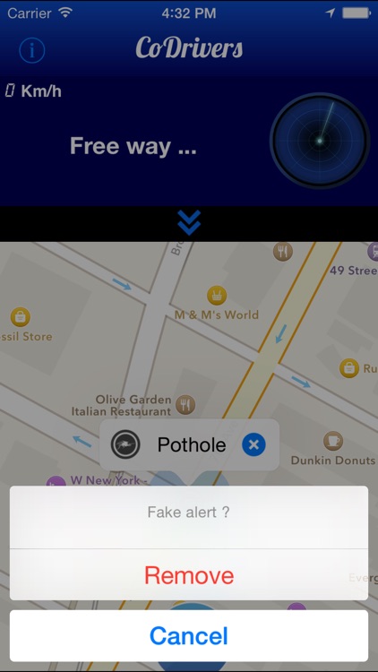 CoDrivers - GPS Driving Assistant screenshot-3